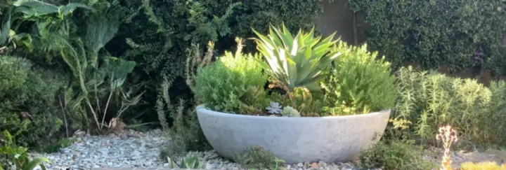 Sedona Planter Bowl GFRC in Rustic White Finish situated in a landscaped garden